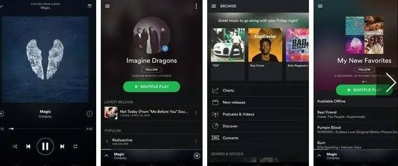 Spotify Premium APK 程式介面